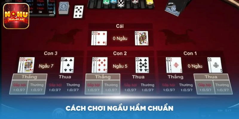 Tìm hiểu về cách chơi Ngầu Hầm Xem Bài Nohu65